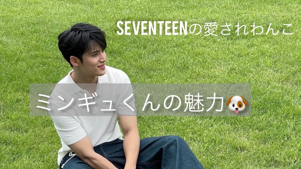 独断と偏見でミンギュくんの魅力を詰め込みました