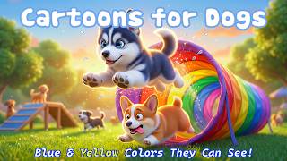 24/7 Dog Cartoon for Puppies Home Alone – Relaxing Music Cartoon for Dogs, in Colors Dogs Love!