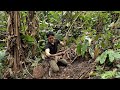 Food Crops Grow Wild, Survival instinct, Wilderness alone, Episode 82