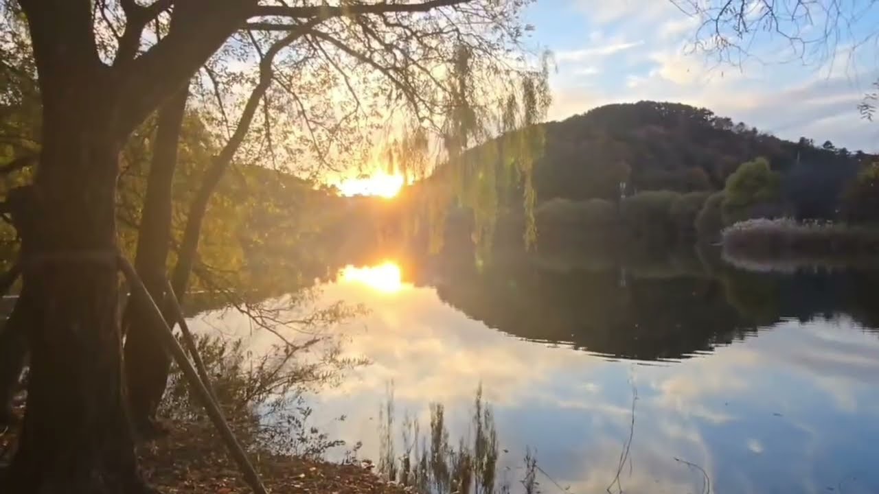 쉬는시간 휴식 #강아지산책 #힐링음악