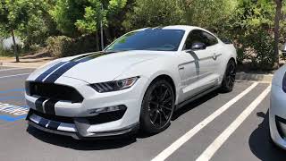 Shiny 9H Ceramic Coating on a Mustang GT350 - San Diego California