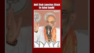 Amit Shah Slams Rahul Gandhi: 