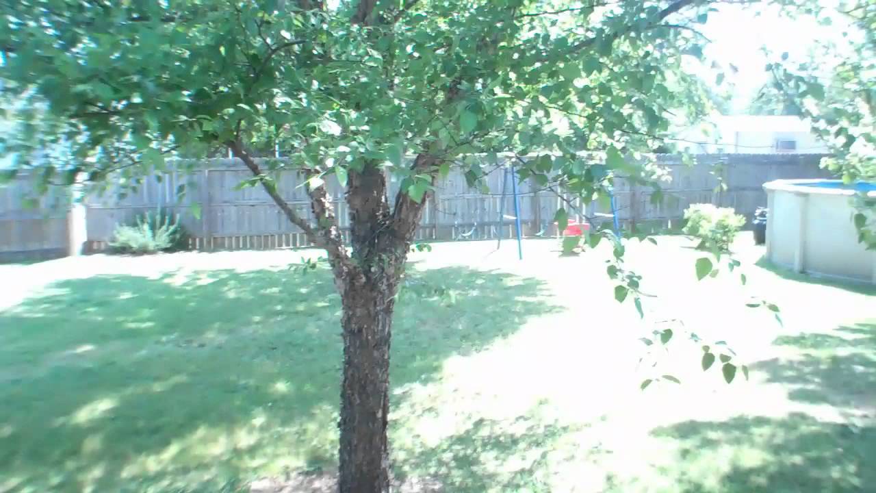 1303 Denson Drive- Opelika, AL