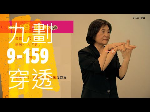 臺灣手語語料彙整【穿透】9 159
