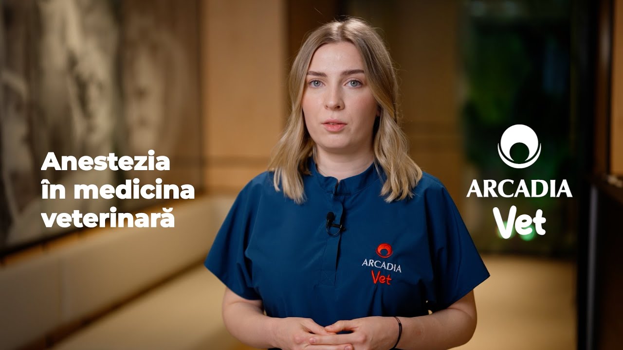 Anestezia în medicina veterinară | Dr. Diana Niagu, medic veterinar Arcadia Vet