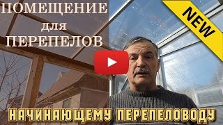 видео: Начинающему перепеловоду – Помещение для перепелов картинка: Начинающему перепеловоду – Помещение для перепелов