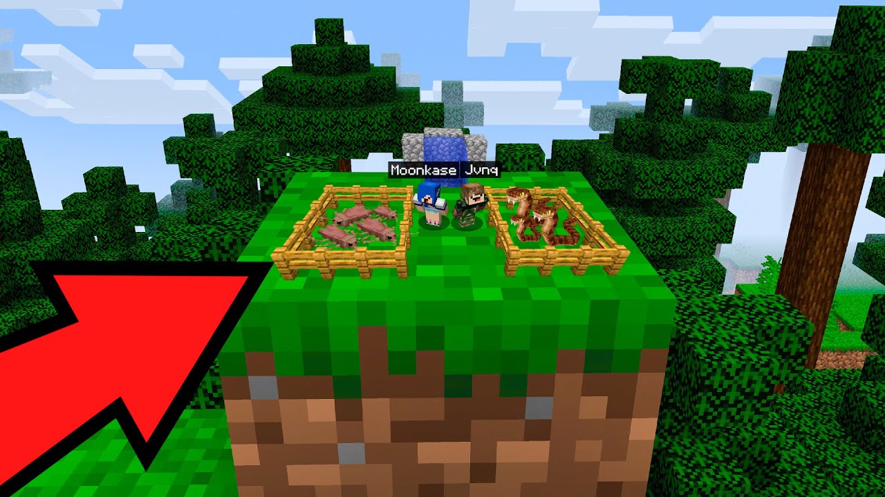 Formigas Constroi o MENOR ZOOLOGICO do MUNDO! (MINECRAFT FORMIGAS #5 ...