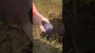 Finding An Alien Toy