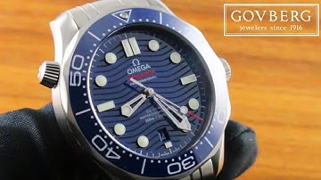 Omega Seamaster Diver 300m (Steel) 210.30.42.20.03.001 Functions & Care Guide