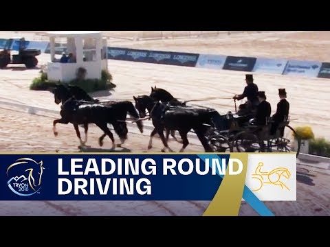 Video: Perde En Gimnastiek Verenig Hulle By Die FEI World Equestrian Games