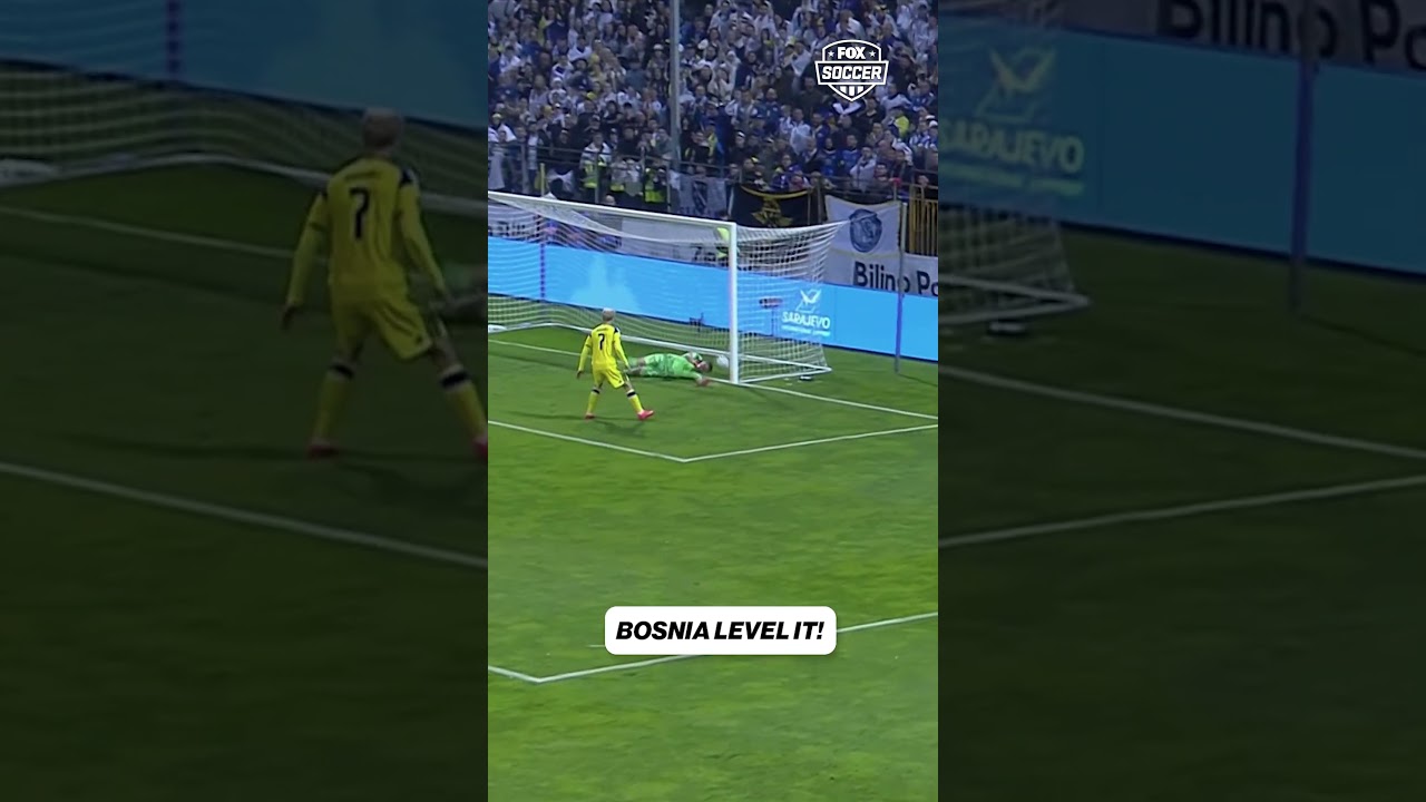 Kerim Alajbegović fires home from outside the box to bring Bosnia & Herzegovina back 🇧🇦 #soccer