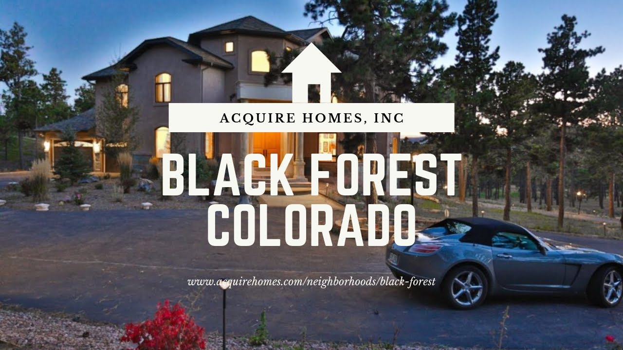 Black Forest Colorado Springs YouTube