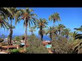 Puerto de la cruz  tenerife  canary islands 08032023 4k