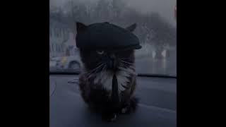 Life in Rio (sped up   echo)