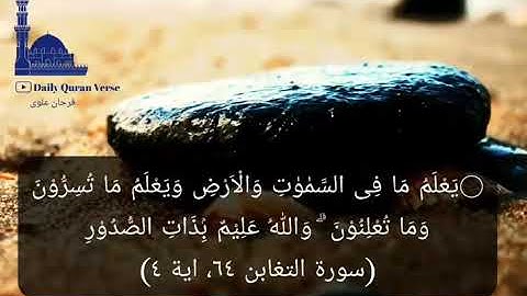 #daily_quran_verse | (At-Taghabun 64: Verse 4) | (سورة التغابن ٦٤، اية ٤)