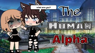 The Human Alpha (Glmm) •Gacha life mini movie• ~Original~ ||Read Description||