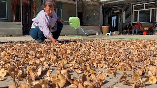 东北蘑菇多到拿不动？二条爸又是满载而归，一院子的蘑菇可真馋人