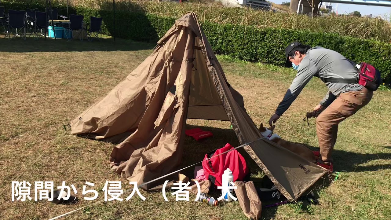 ワンティグリス ポンチョシェルター 【公式通販】