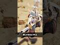 見た目が良すぎてモチベが上がる武器“3選” #モンスターハンター #モンハン #モンハンワイルズ