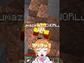 羊毛の違い ~初心者 vs プロ~【まいくら/マインクラフト】