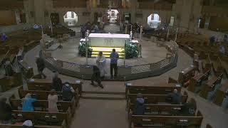 National Shrine of the Little Flower Livestream