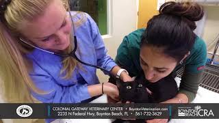 Colonial Gateway Veterinary Center