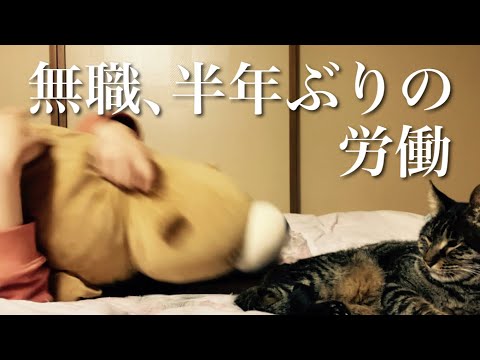 約半年ぶりの労働【無職期間7カ月/24歳フリーター/近況報告】