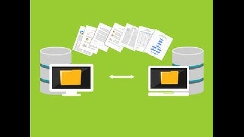 How do I export WordPress user data?