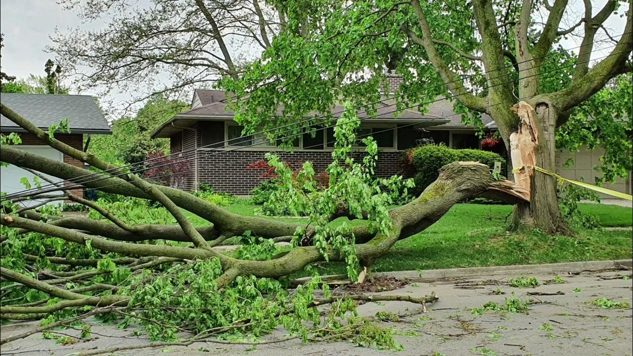Severe thunderstorm damage in Kitchener 8 dead Ontario videos pictures