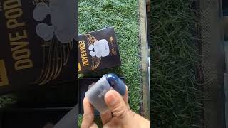 Kdm Dovepods Z-5 Best To Buy Under 699