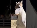 قهرت علي روحي