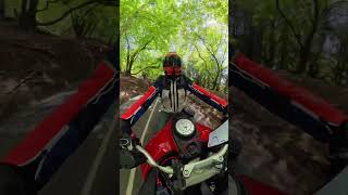 Twisting Roads & Ducati Dreams V4S #motorcycle #bikelife #adventure #multistradav4s