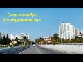 Сочи в ноябре. По "Курортному" проспекту.🌴ЛАЗАРЕВСКОЕ СЕГОДНЯ🌴СОЧИ.