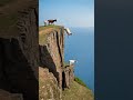 Goats Descend from the Top of a Cliff Like It's a Walk in the Park! 🐐⛰️