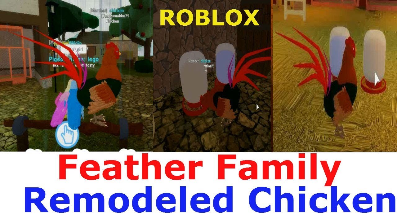 Feather Family Remodeled Chicken Roblox Rooster can fly for a short