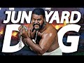The Tragic Fate of Junkyard Dog