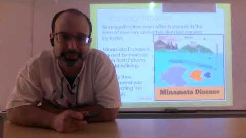 32 - Bioaccumulation - Sci20f