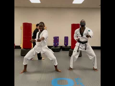 How It Is When You Try To Learn Karate For The First Time!