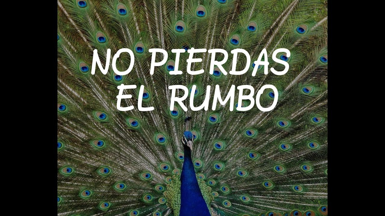 CUIDADO CON LA VANAGLORIA. Jueves V semana de Cuaresma, ciclo B (Jn 8,51-59) meditacion para principiantes