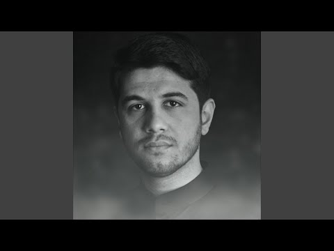 السيد الجميل