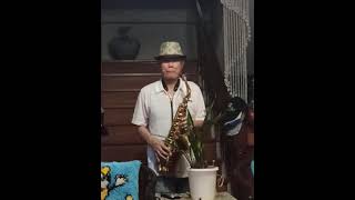 跟我說愛我 *中哥的Sax.*