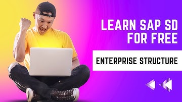 SAP SD Enterprise Structure Part 2