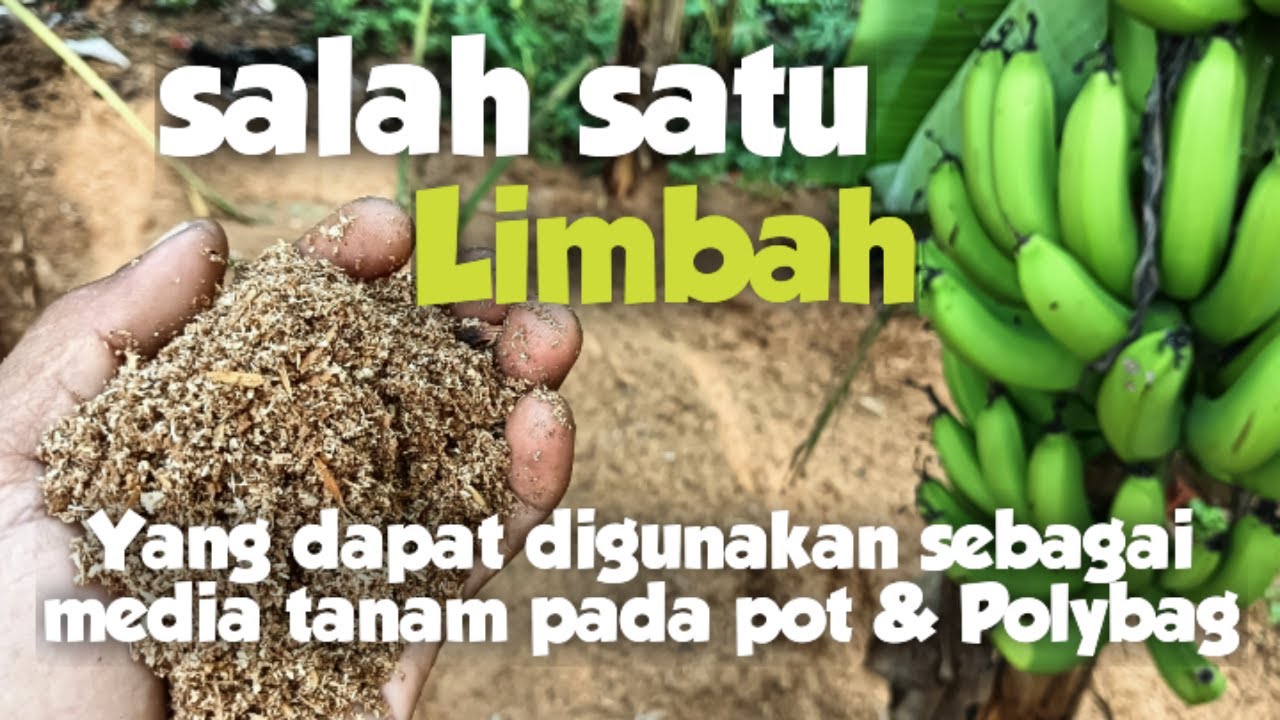 Cara Membuat Media Tanam Dengan Menggunakan Serbuk Kayu/serbuk gergaji(limbah pemotongan kayu)