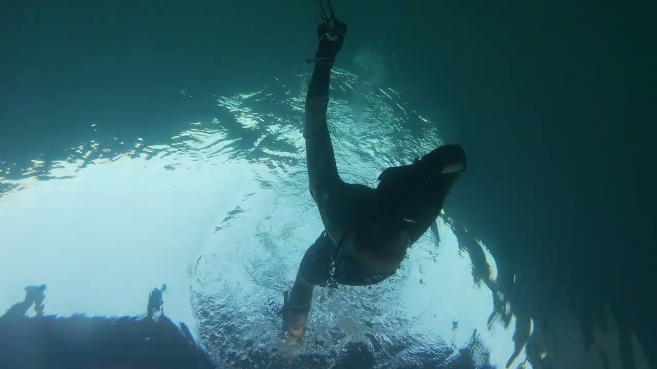 Freedive 🆓