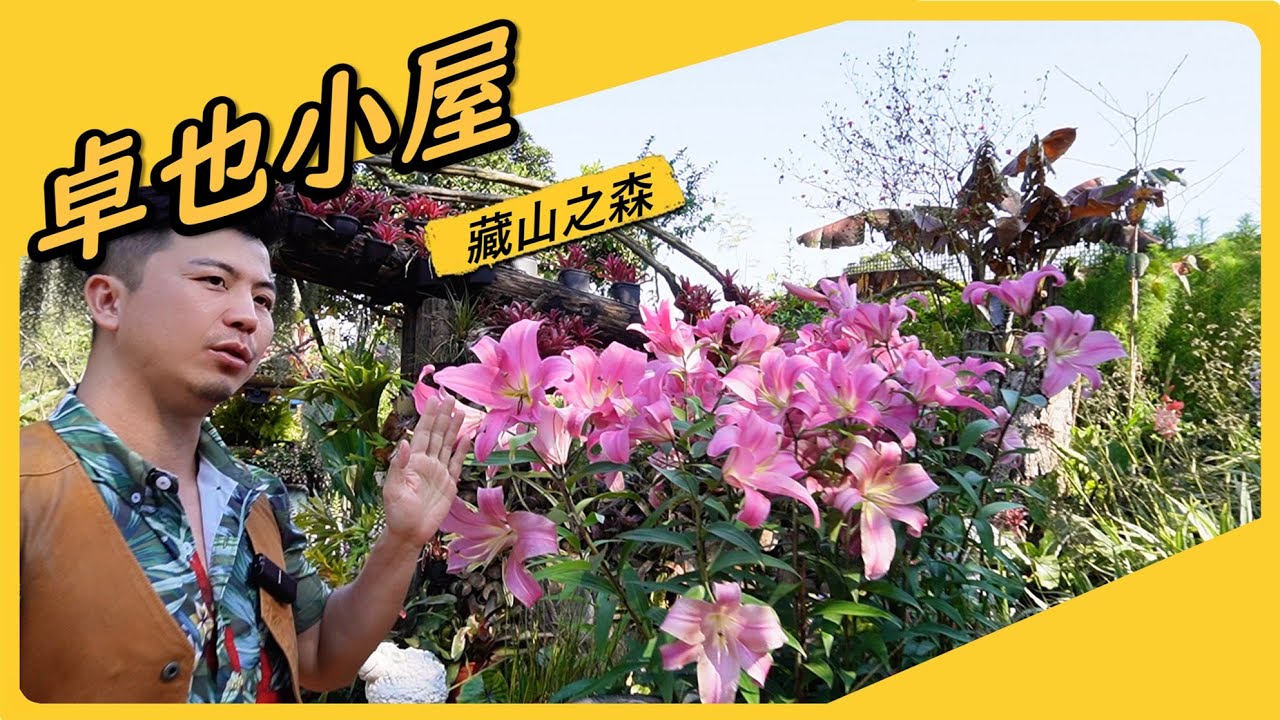 【卓也小屋】連花盆都可以種的這麼漂亮，我也是服了，我們今天先看新開發的藏山之森吧。另外卓也小屋鳶尾花季又要來了，4月3日快點去。