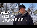 Весна в Карелии. Гуляю по деревне и радуюсь весне | Немного новостей из Карелии