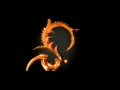 SINT teaser