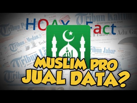 Video: Apa yang terjadi dengan muslim pro?