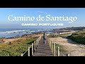 Camino de santiago  camino portugues 2022  porto to santiago  11 days  280km 175 miles