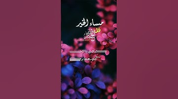 مساء الخير قران كريم #حالات #اكسبلور #دعاء #دويتو #قران #حالات_واتس #تيك_توك #صباح_الخير #ترند